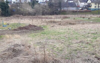 Antrag der UNA zur Gestaltung der Überschwemmungsfläche Röderpesch am Genfbach in Nettersheim abgelehnt