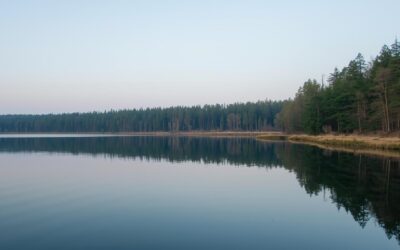 2. Nettersheimer Wassertage beantragt – für mehr Transparenz rund ums Trinkwasser